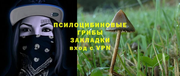 ПСИЛОЦИБИНОВЫЕ ГРИБЫ Богданович