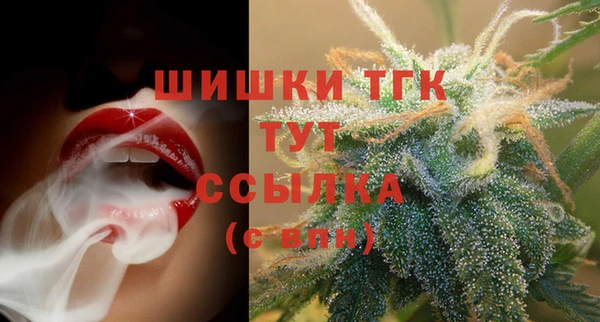 ПСИЛОЦИБИНОВЫЕ ГРИБЫ Балабаново