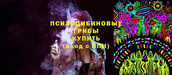 ПСИЛОЦИБИНОВЫЕ ГРИБЫ Богданович