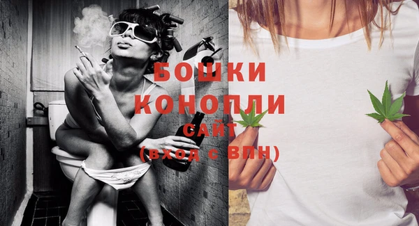 винт Белокуриха