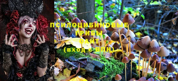 винт Белокуриха