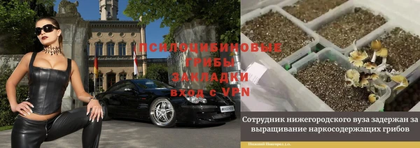 винт Белокуриха