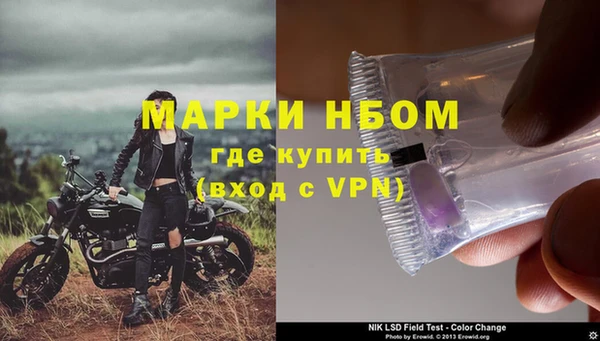 ПСИЛОЦИБИНОВЫЕ ГРИБЫ Богданович