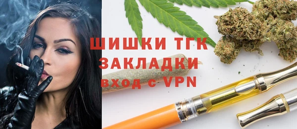 ПСИЛОЦИБИНОВЫЕ ГРИБЫ Богданович