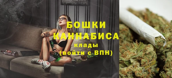 ПСИЛОЦИБИНОВЫЕ ГРИБЫ Богданович