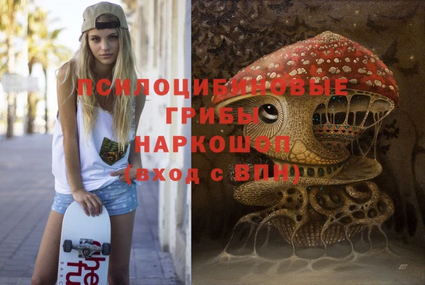 ПСИЛОЦИБИНОВЫЕ ГРИБЫ Богданович