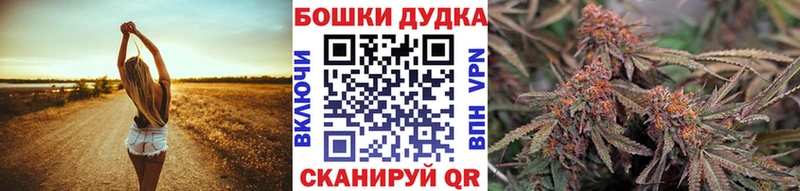 Бошки марихуана OG Kush  гидра tor  Губкинский 